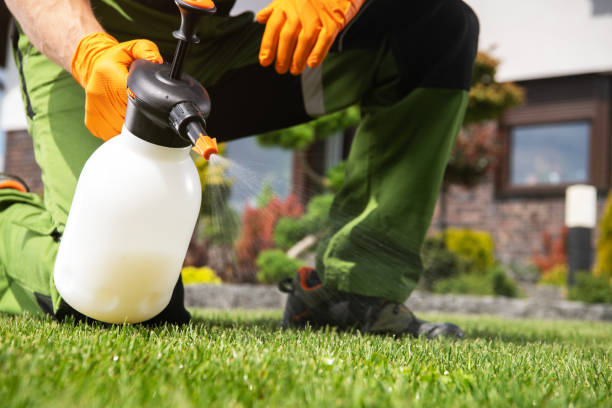Professional Pest Control in Twin Grove, IL