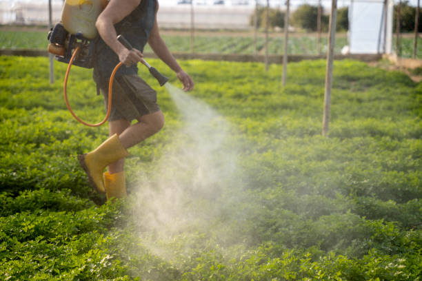Best Best Pest Control Companies  in Twin Grove, IL