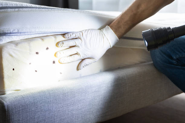 Pest Control for Restaurants in Twin Grove, IL