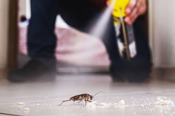 Best Emergency Pest Control  in Twin Grove, IL