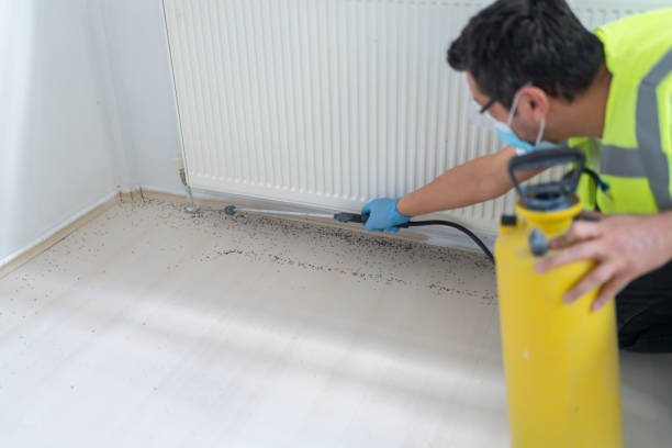 Best Termite Control Services  in Twin Grove, IL