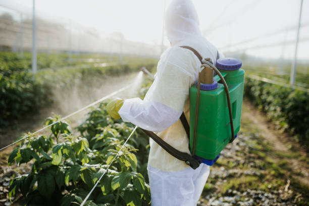 Best Pest Removal Services  in Twin Grove, IL
